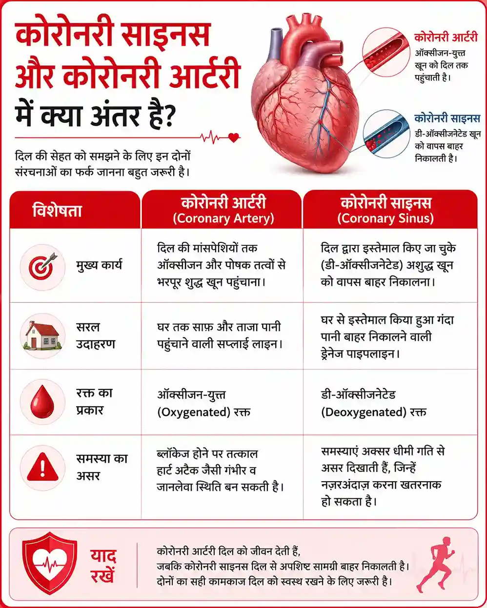 Difference between coronary sinus and coronary artery